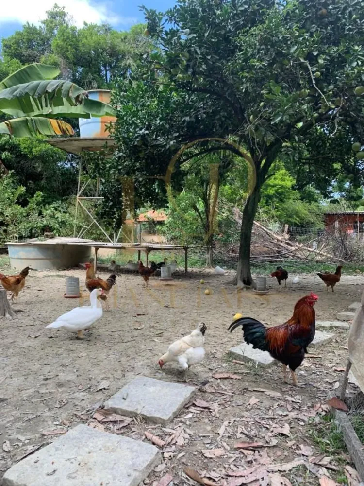 Fazenda, 5000 m² - Foto 20