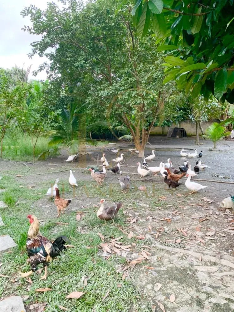 Fazenda, 5000 m² - Foto 17