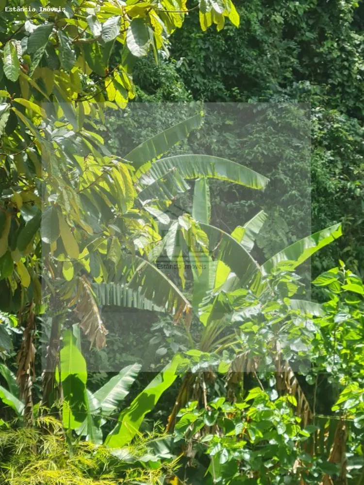 Casa, 3 quartos, 340 m² - Foto 14