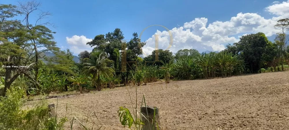 Sítio, 4 quartos, 2100 m² - Foto 6