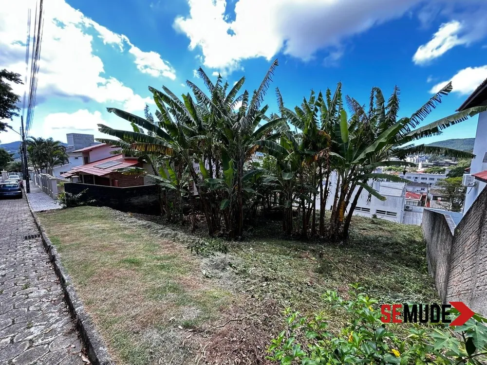 Terreno, 374 m² - Foto 3