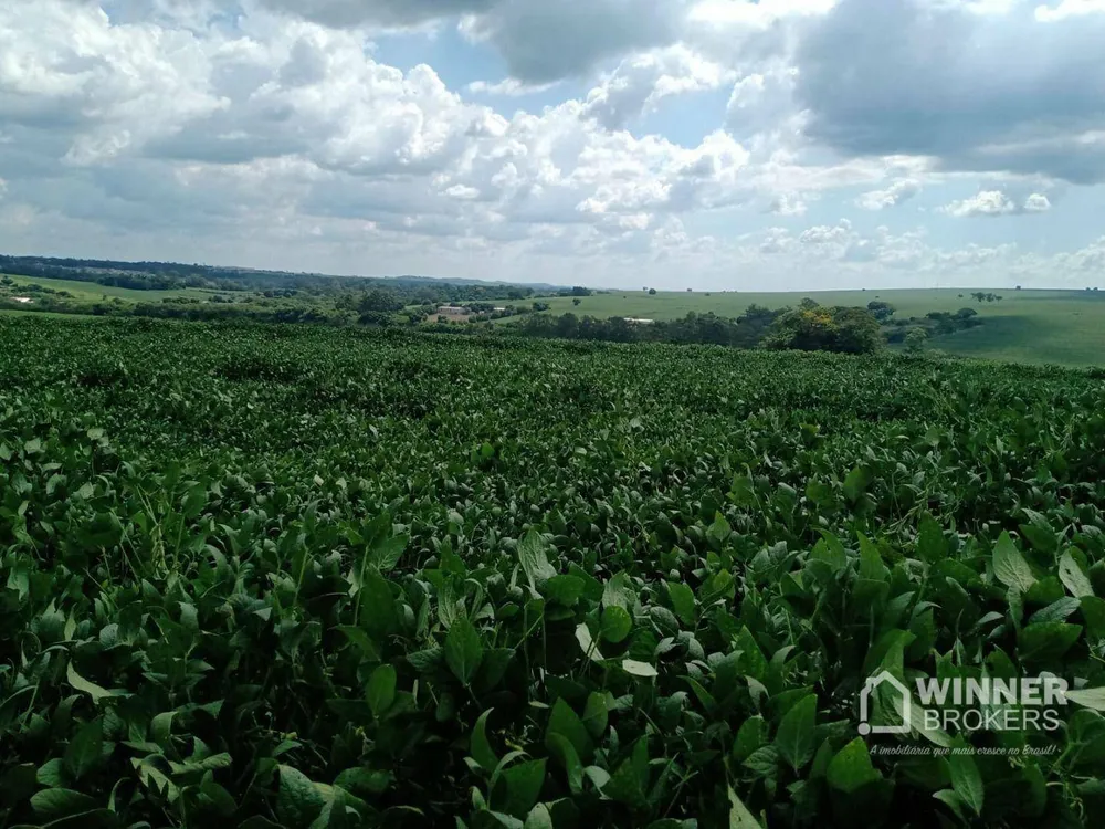 Terreno, 10 hectares - Foto 3