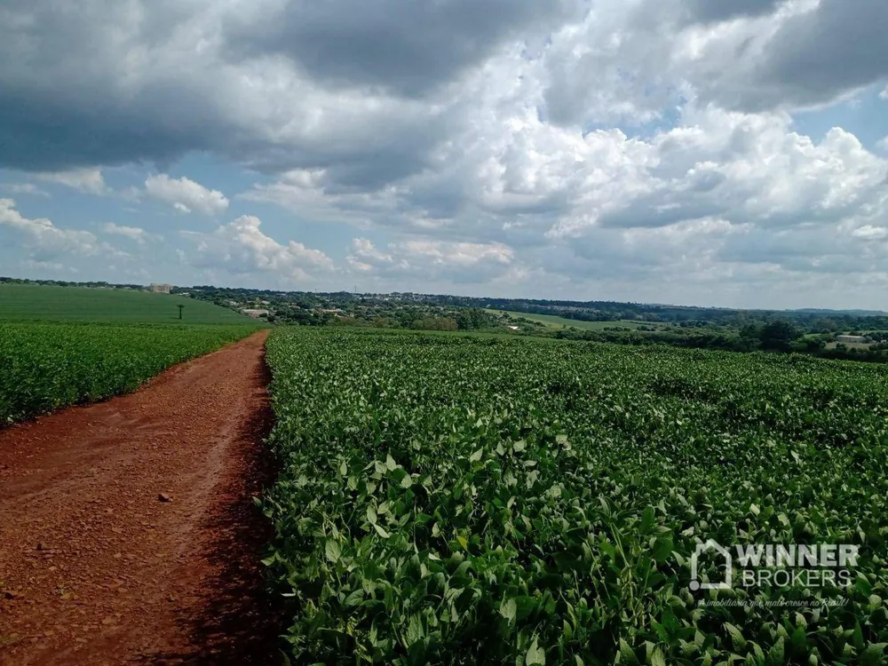 Terreno, 10 hectares - Foto 4