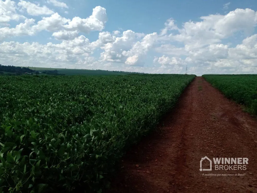 Terreno, 10 hectares - Foto 8