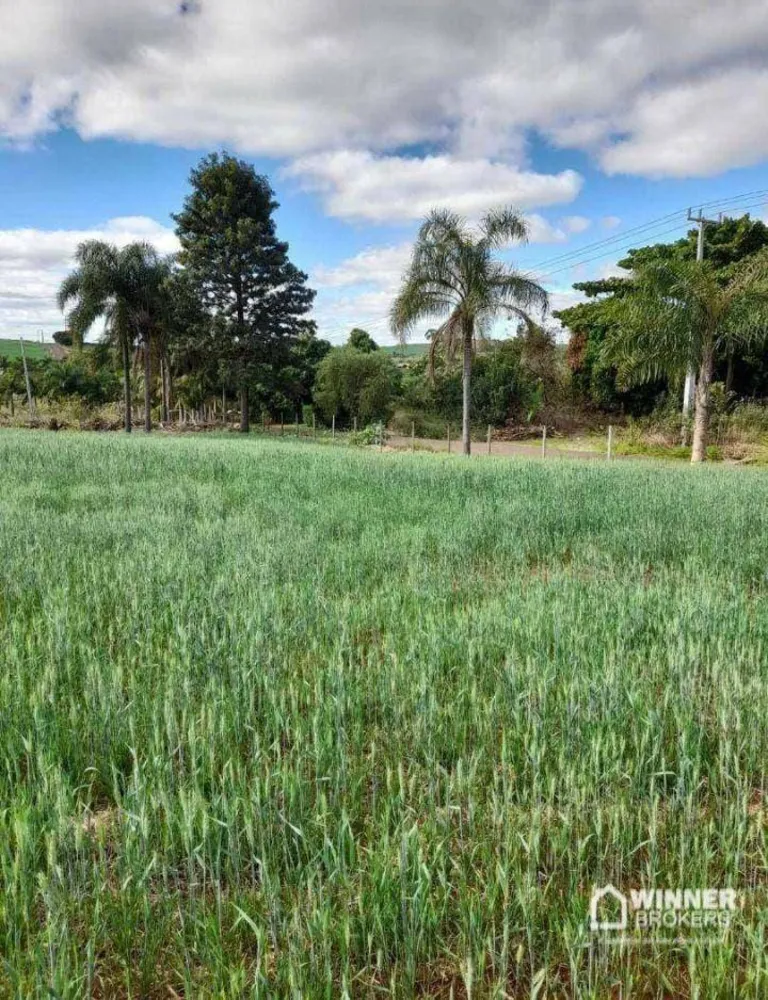 Terreno, 46 hectares - Foto 1