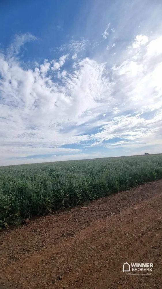 Sítio, 7 hectares - Foto 7