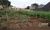 Terreno, 200 m² - Foto 1