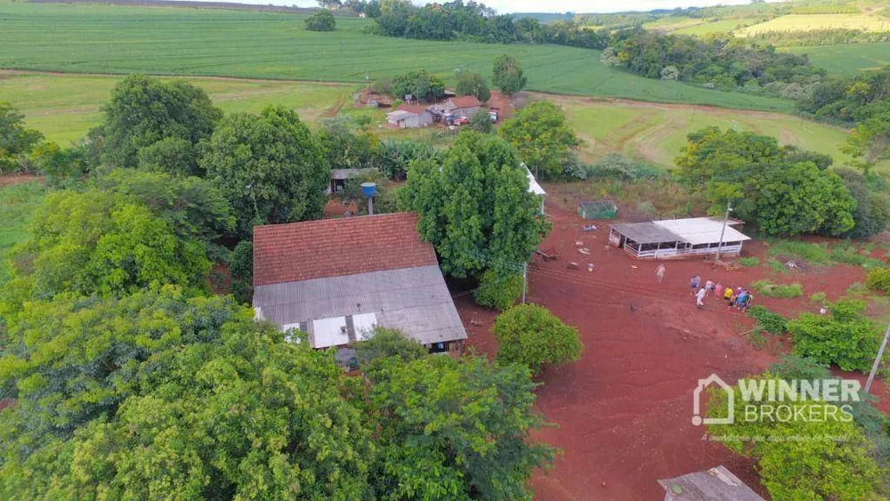 Chácara, 2 quartos, 3 hectares - Foto 3