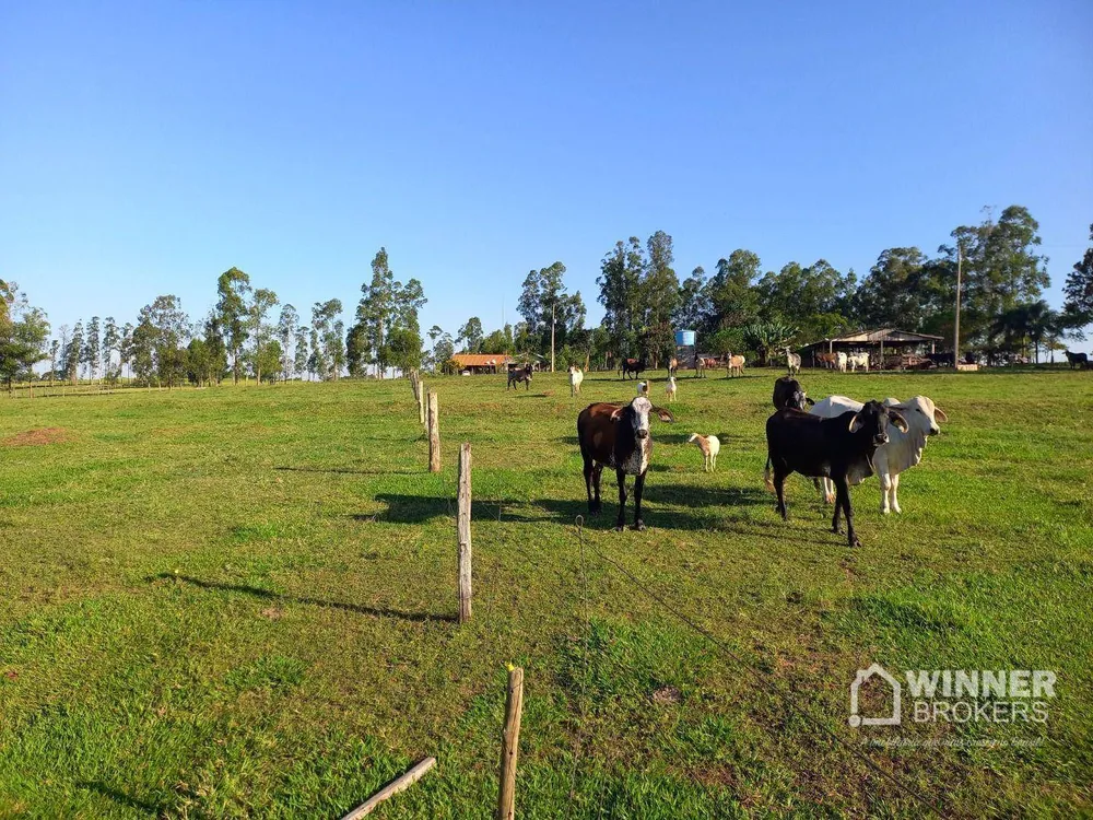 Sítio, 2 hectares - Foto 4