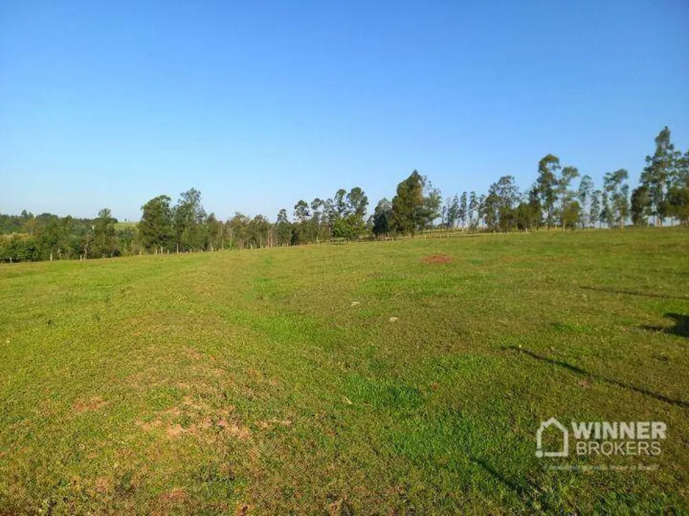 Sítio, 2 hectares - Foto 1