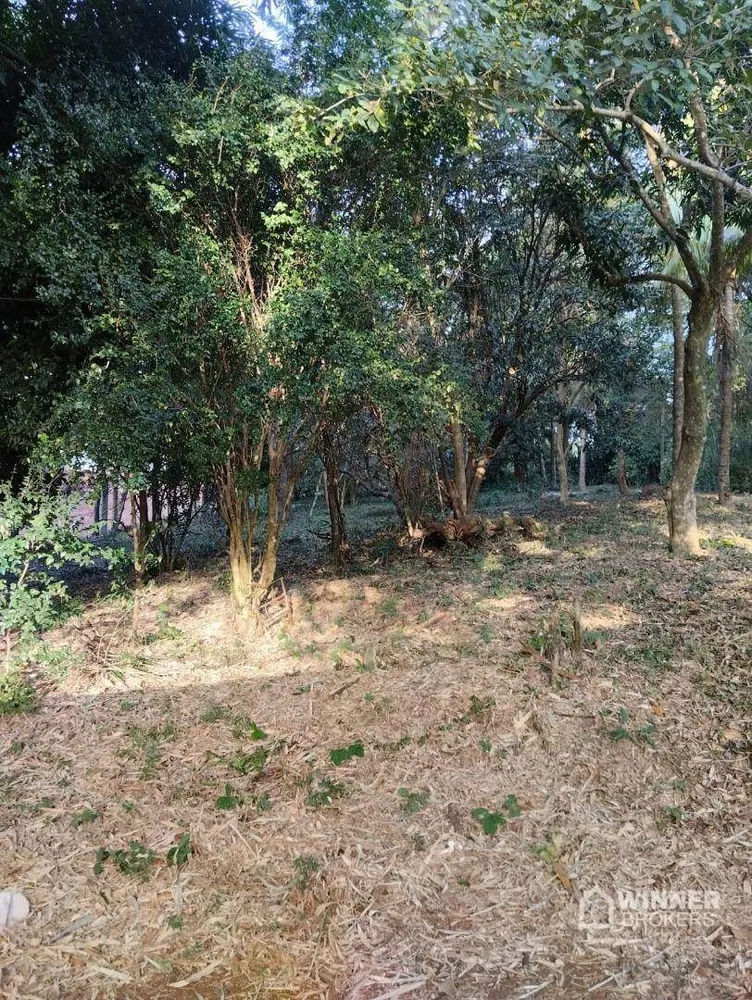 Chácara, 2 quartos, 4000 m² - Foto 8
