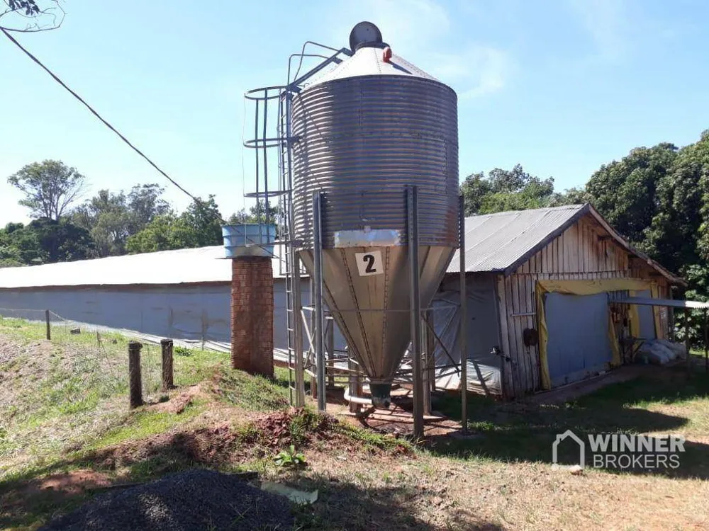 Fazenda, 12 hectares - Foto 8