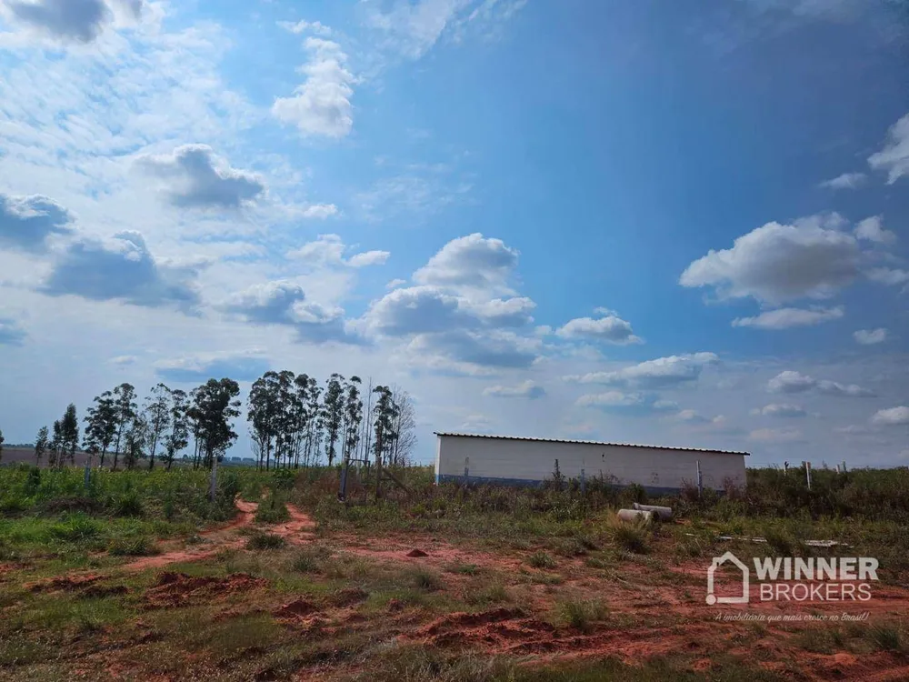 Fazenda, 12 hectares - Foto 16