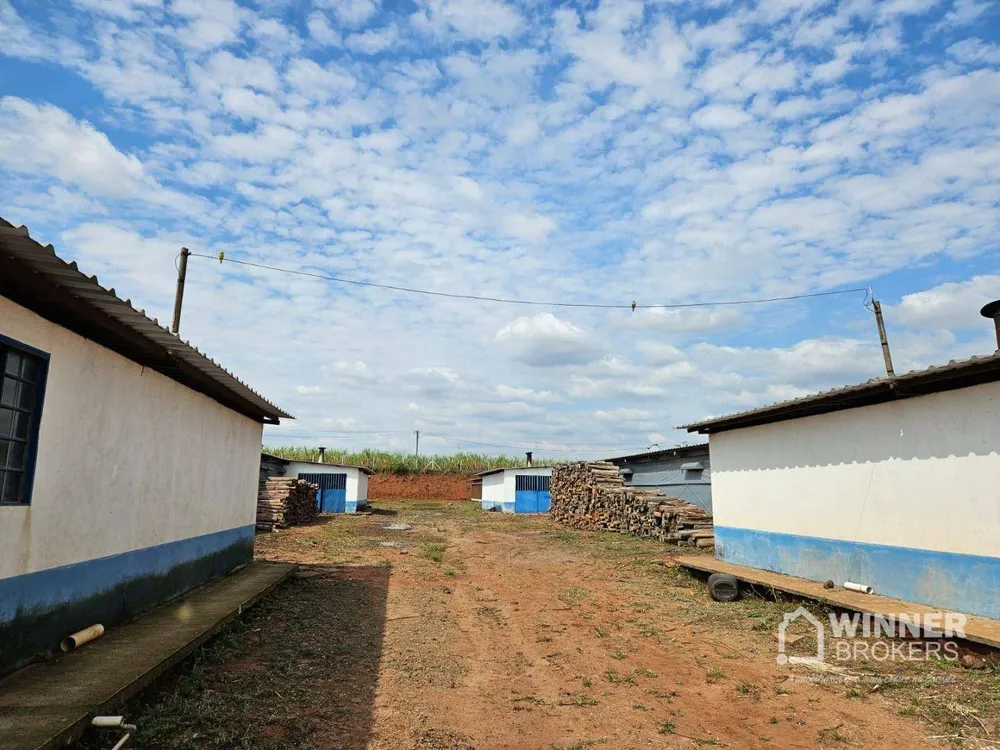 Fazenda, 12 hectares - Foto 13