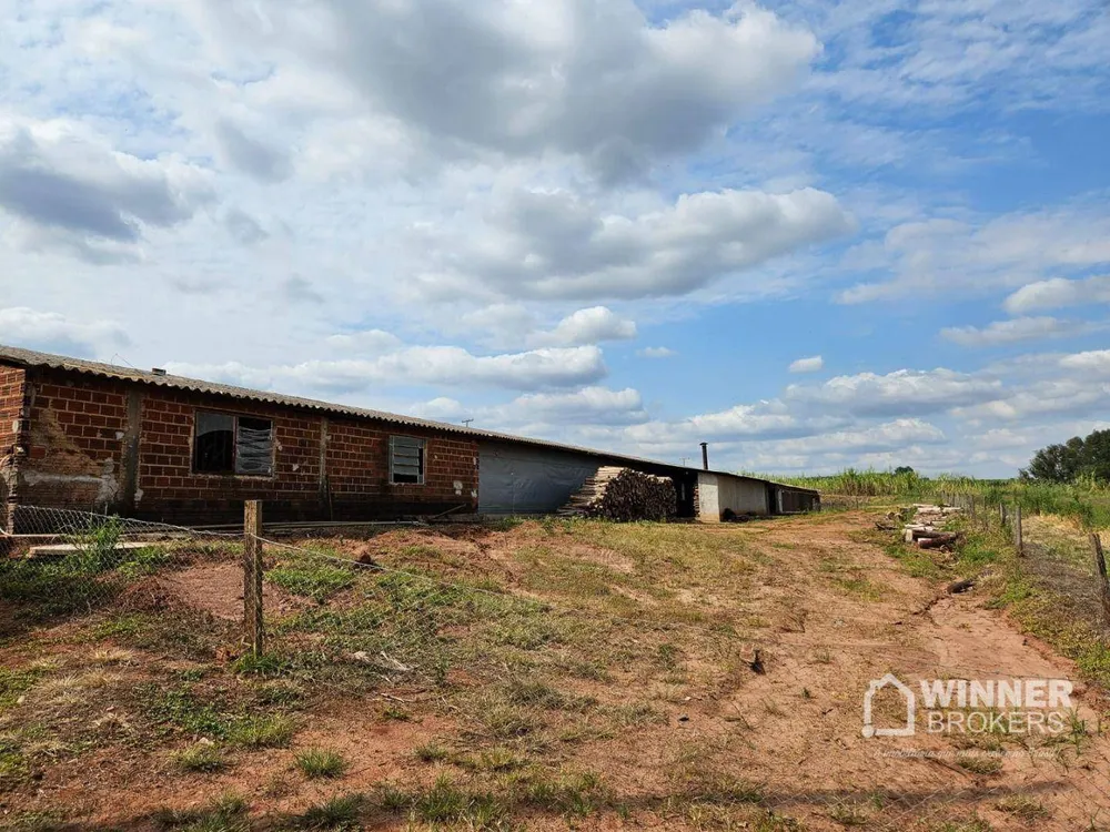 Fazenda, 12 hectares - Foto 18