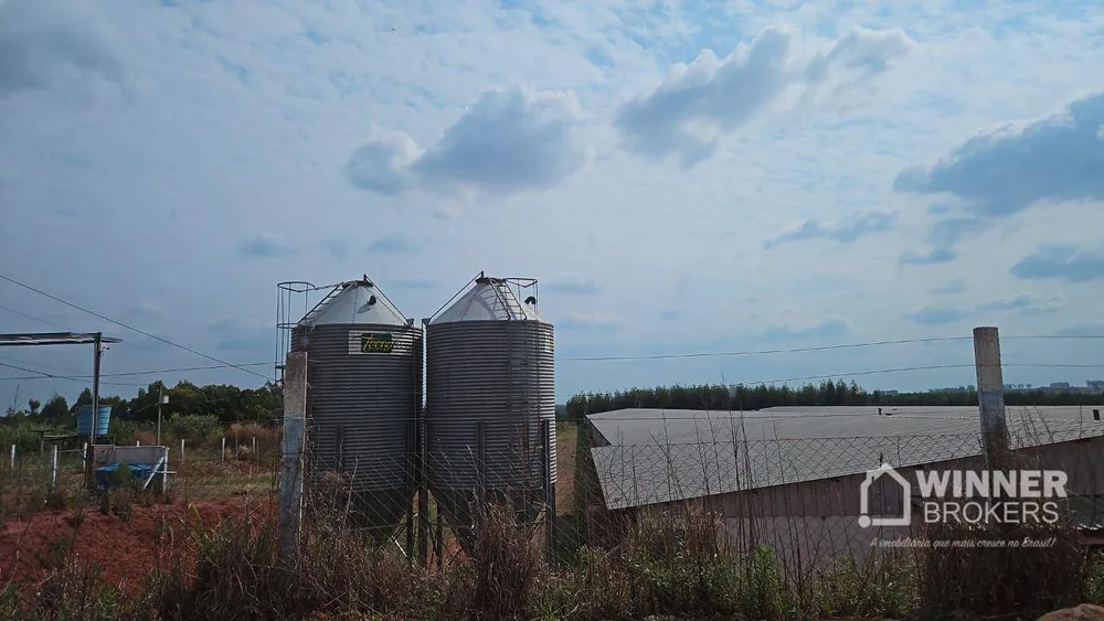 Fazenda, 12 hectares - Foto 17