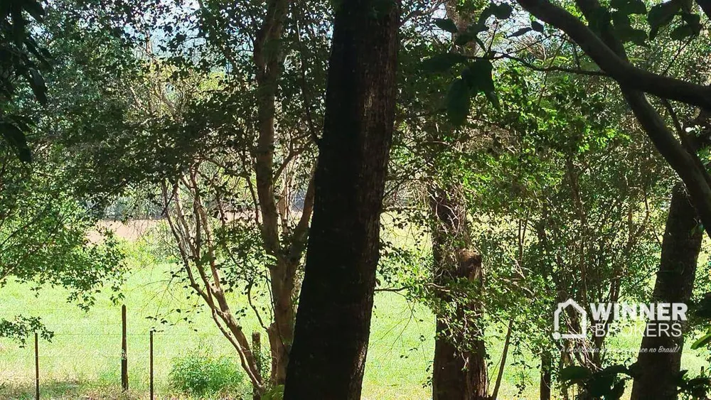 Sítio, 2 quartos, 24 hectares - Foto 6