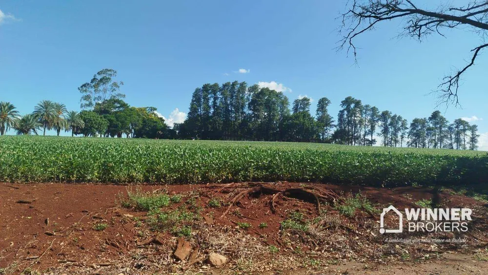 Sítio, 2 quartos, 24 hectares - Foto 1