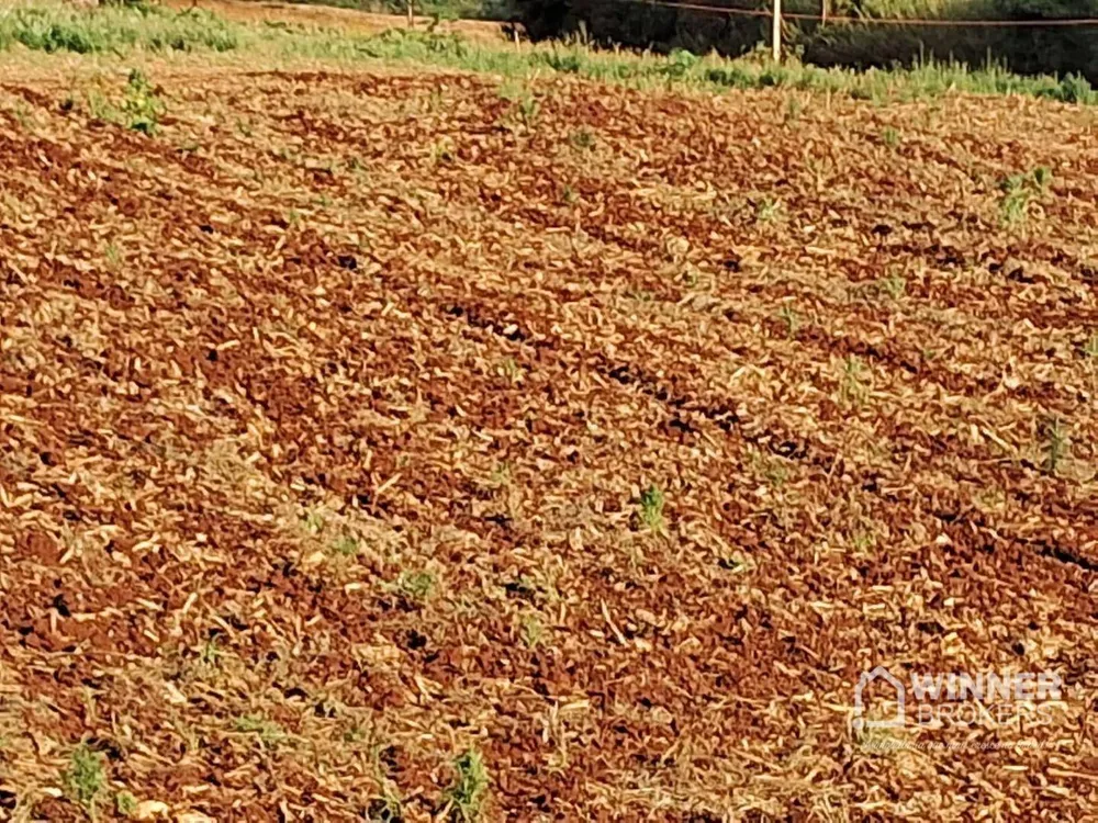 Chácara, 3 quartos, 2 hectares - Foto 11