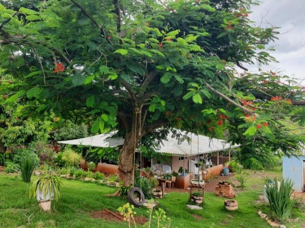 Chácara, 3 quartos, 3 hectares - Foto 1