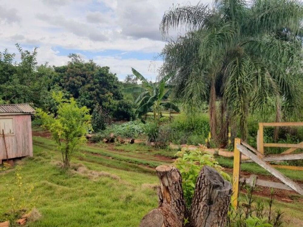 Chácara, 3 quartos, 3 hectares - Foto 4