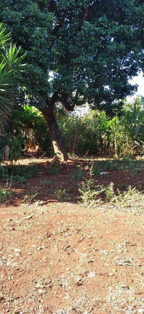 Terreno, 710 m² - Foto 5
