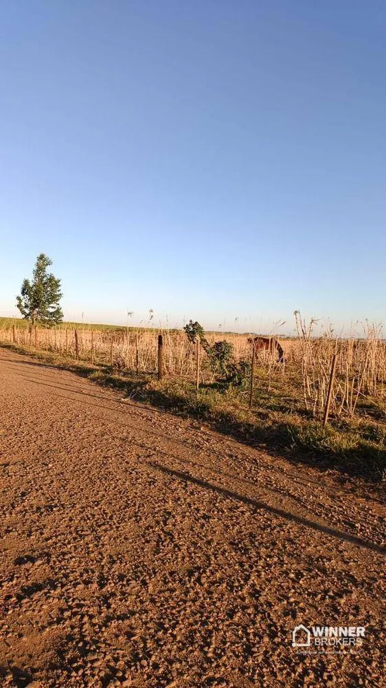 Terreno, 2 hectares - Foto 6