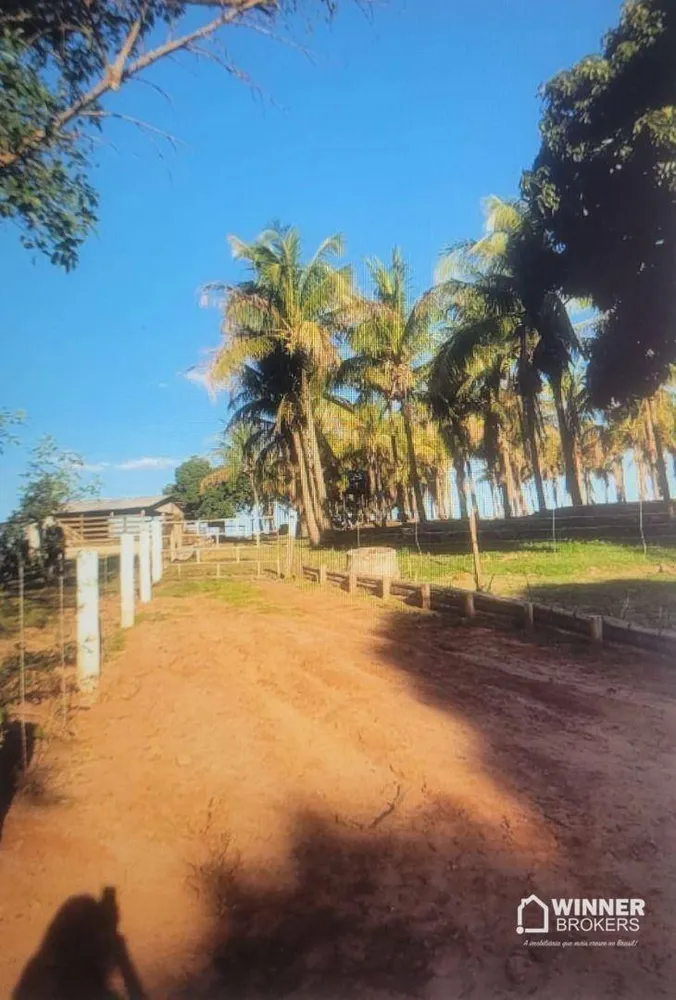 Terreno, 2 hectares - Foto 2
