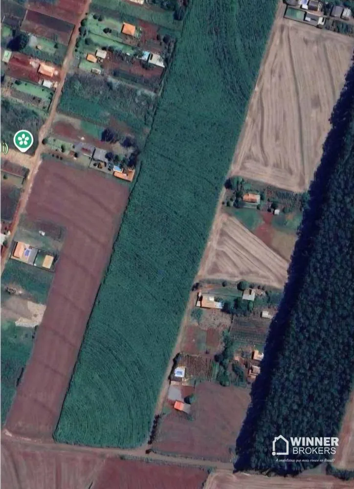 Chácara, 4 hectares - Foto 4