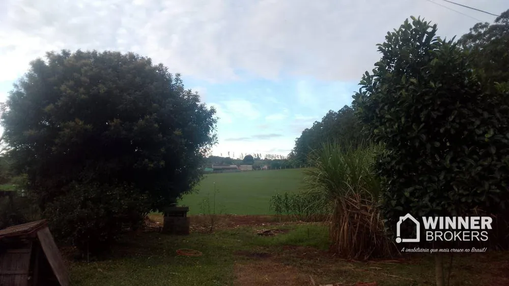Chácara, 4 hectares - Foto 7