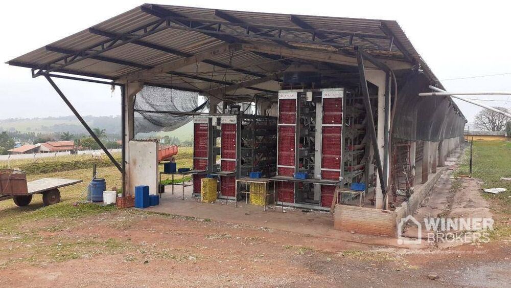 Fazenda à venda, 60500M2 - Foto 7