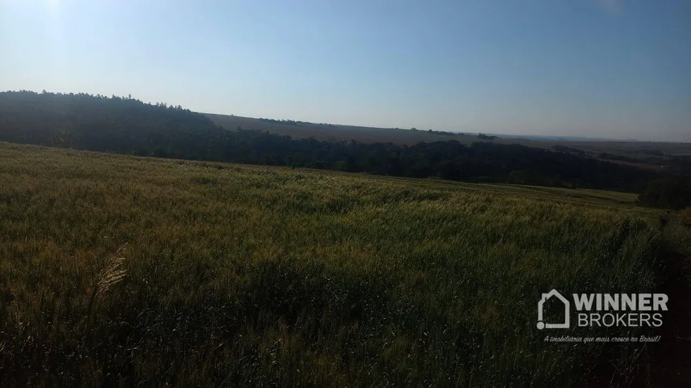 Terreno, 19 hectares - Foto 8