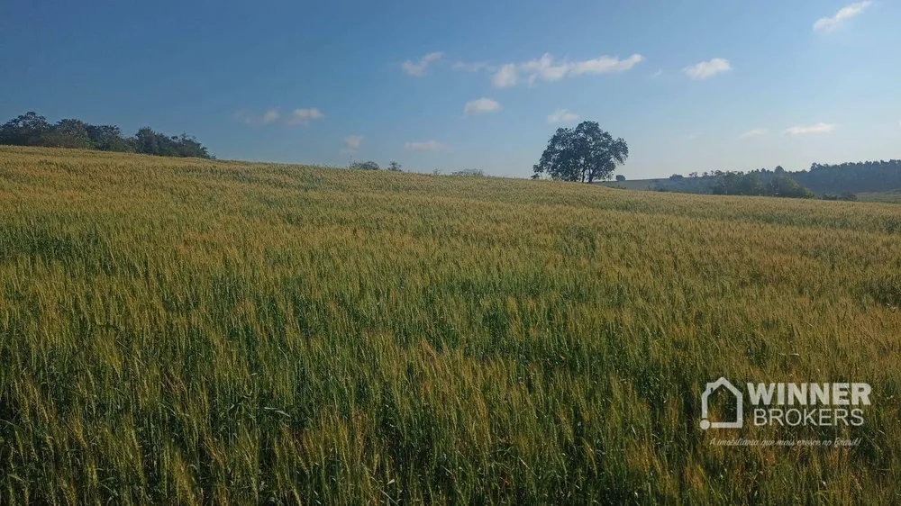 Terreno, 19 hectares - Foto 4