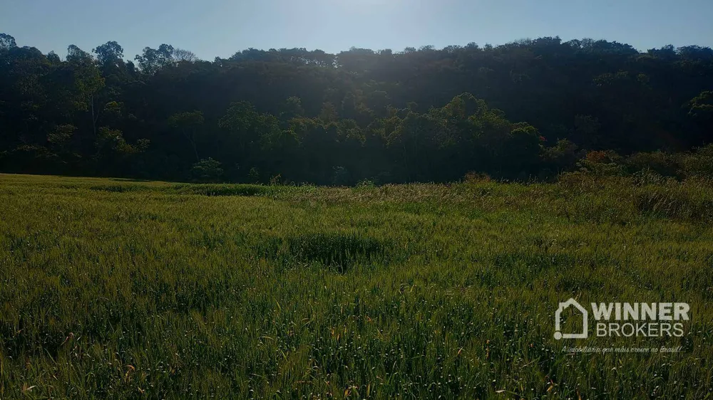 Terreno, 19 hectares - Foto 2