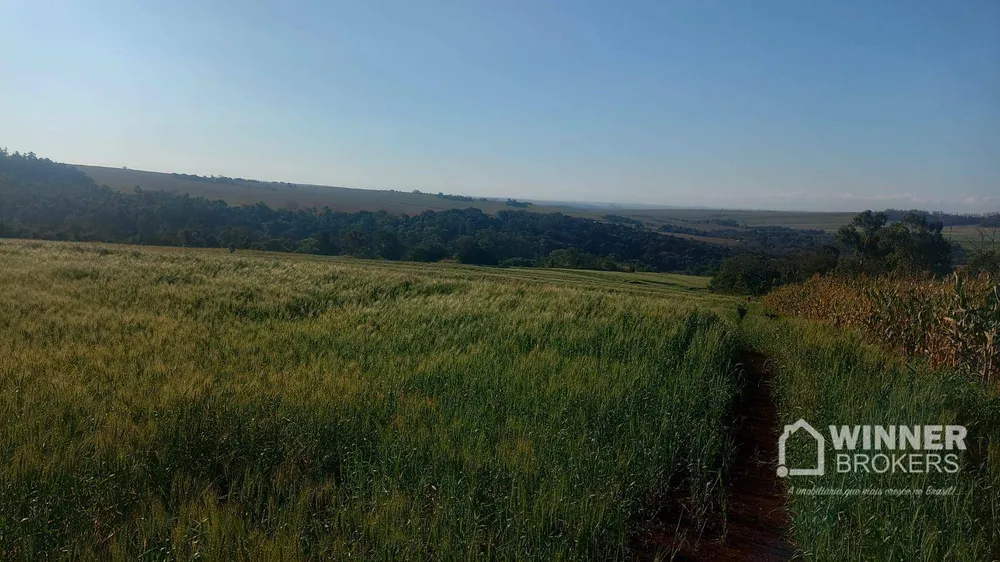 Terreno, 19 hectares - Foto 7