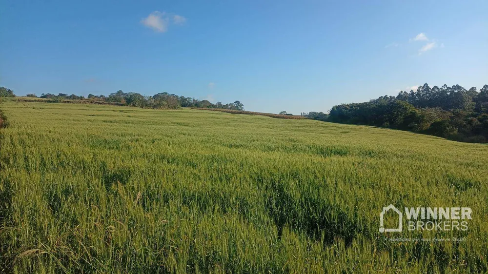Terreno, 19 hectares - Foto 6