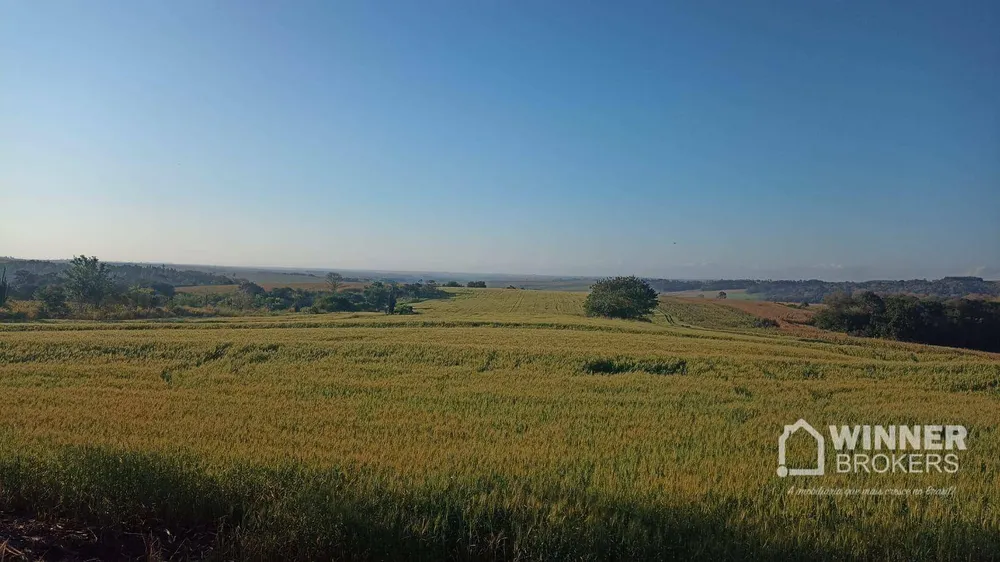Terreno, 19 hectares - Foto 1