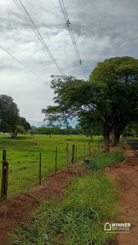 Chácara, 2 quartos, 24 hectares - Foto 3