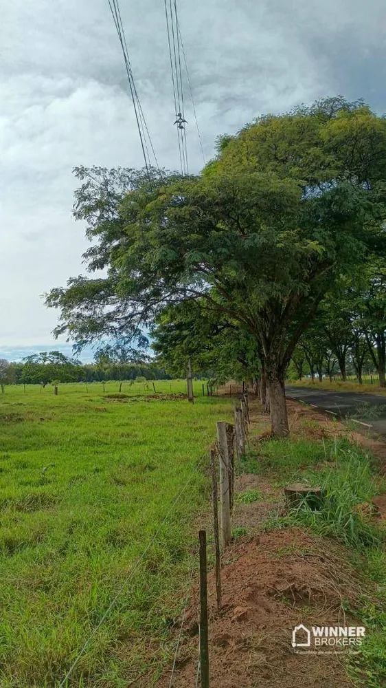 Chácara, 2 quartos, 24 hectares - Foto 1