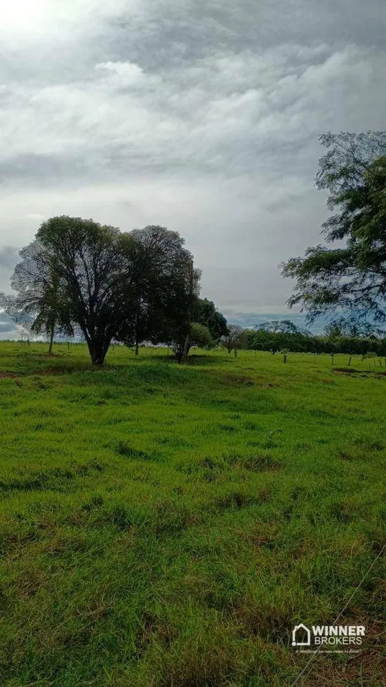 Chácara, 2 quartos, 24 hectares - Foto 2