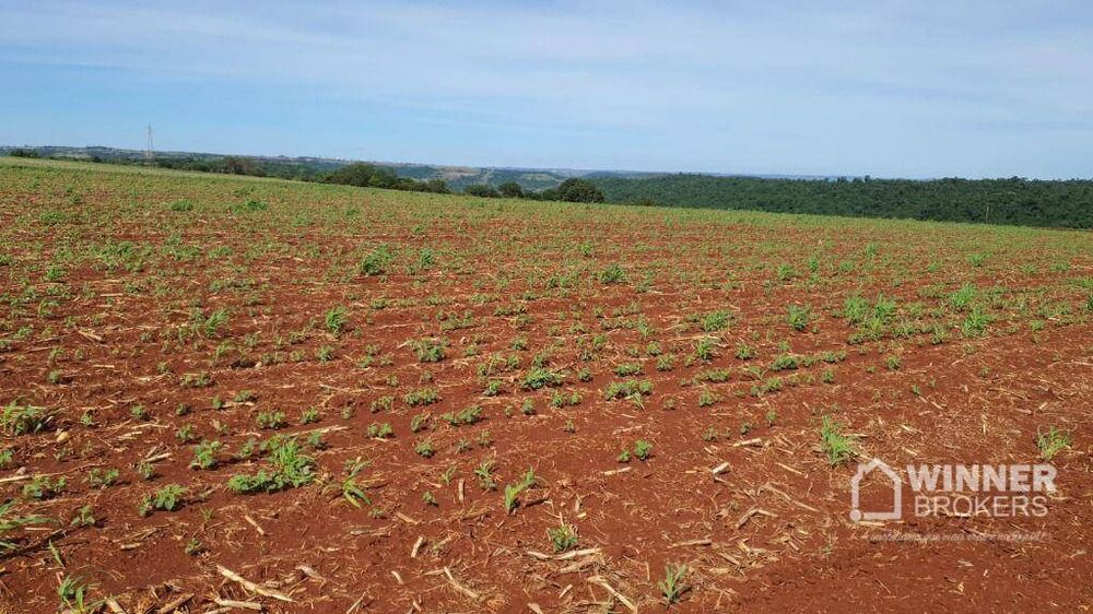 Chácara à venda com 1 quarto, 5000M2 - Foto 4