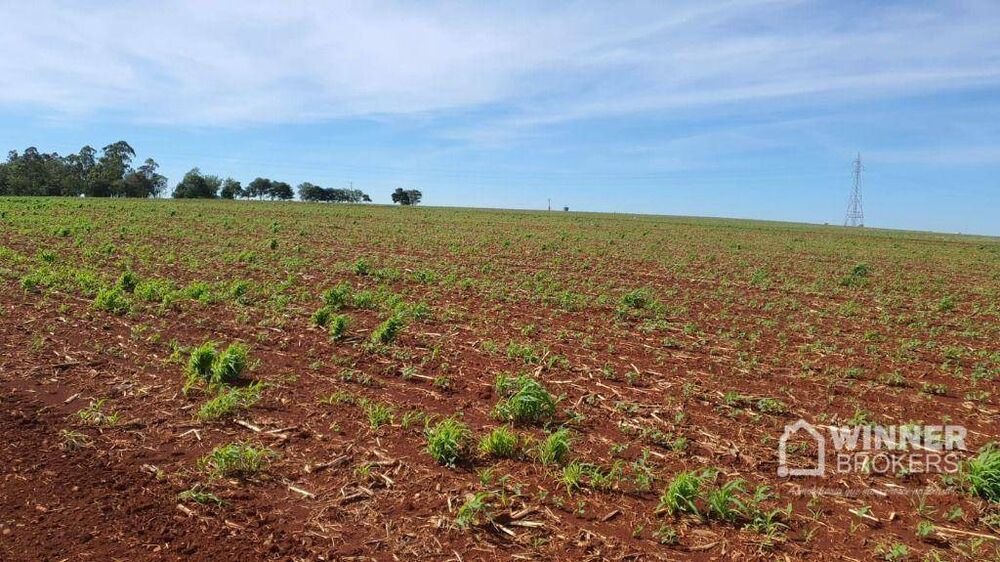 Chácara à venda com 1 quarto, 5000M2 - Foto 3