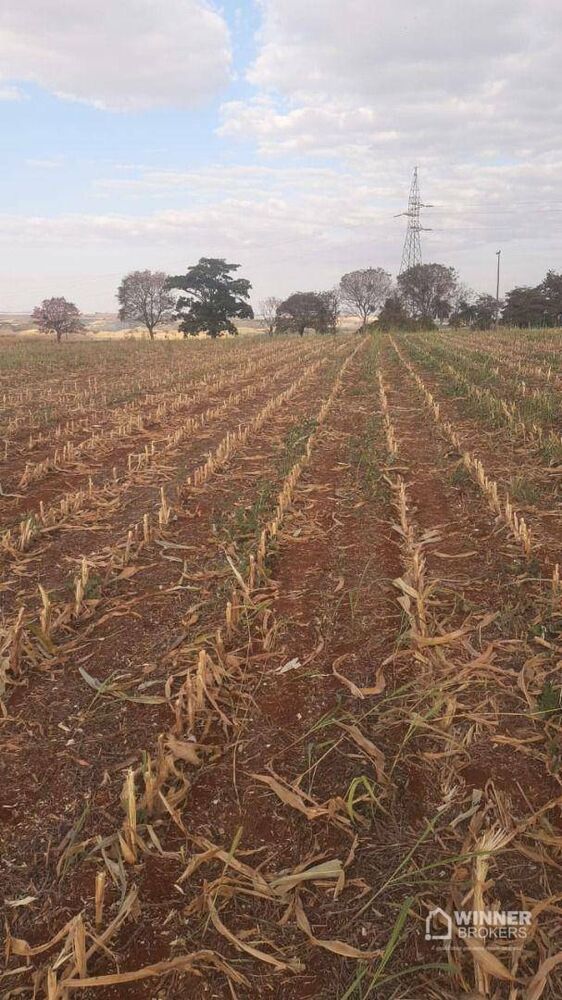 Chácara à venda com 1 quarto, 5000M2 - Foto 1