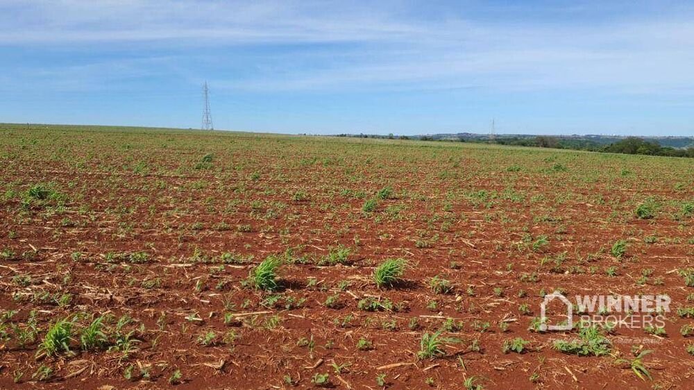 Chácara à venda com 1 quarto, 5000M2 - Foto 2