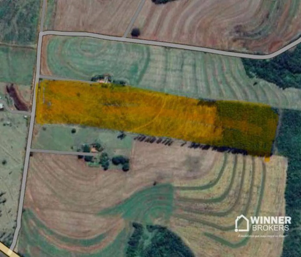 Chácara, 10 hectares - Foto 1