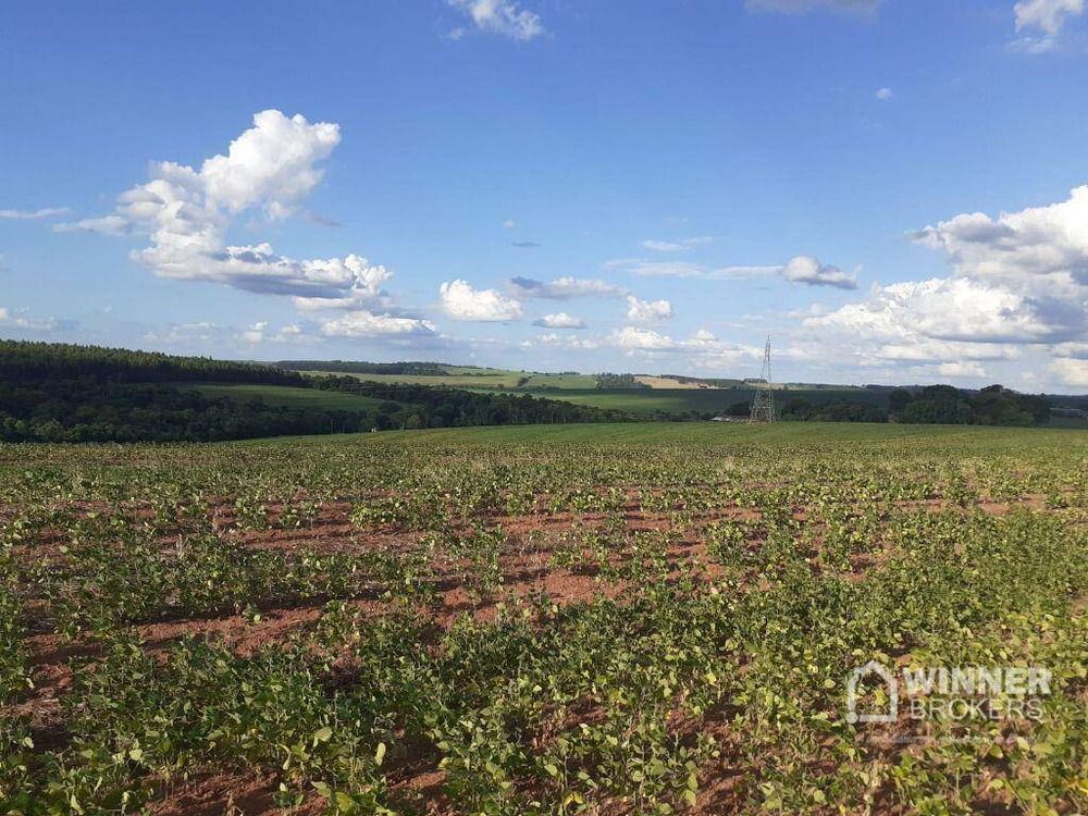 Fazenda, 51 hectares - Foto 2