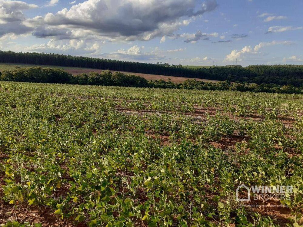 Fazenda, 51 hectares - Foto 3