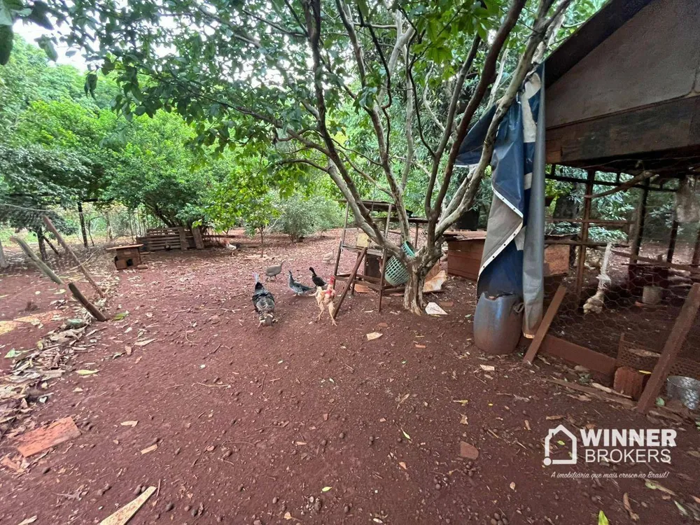Chácara, 3 quartos, 2000 m² - Foto 11