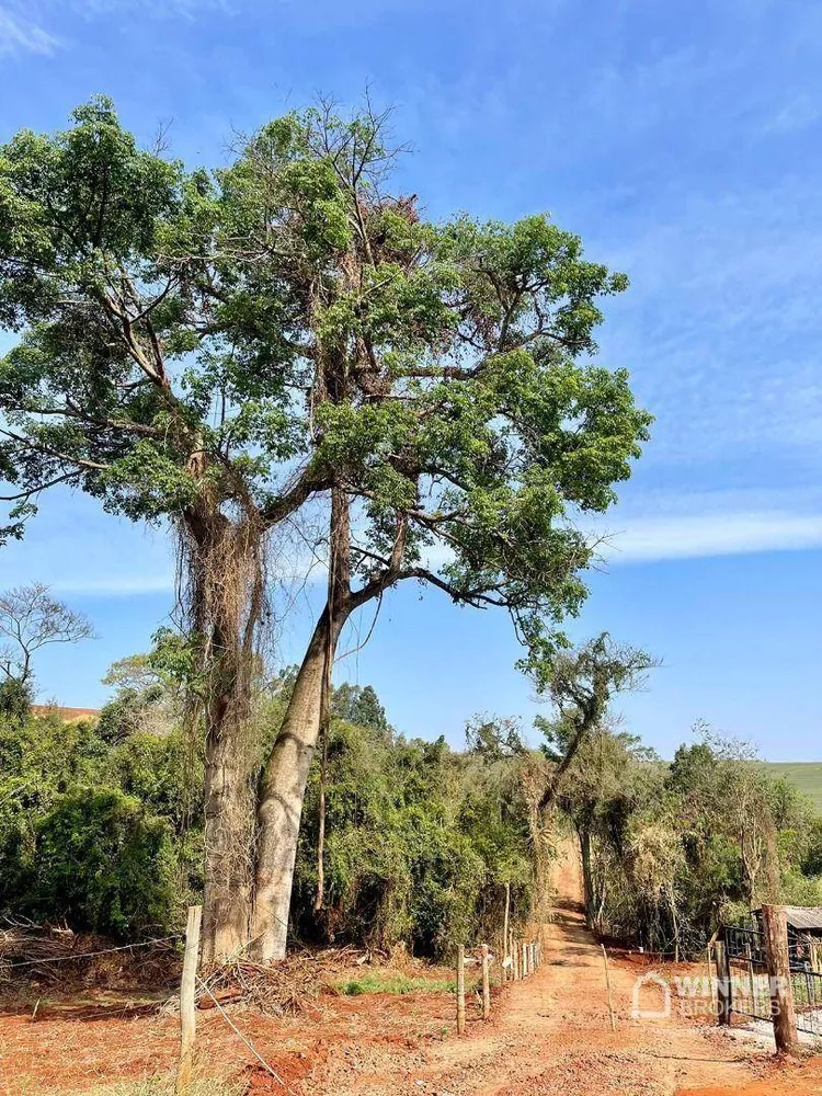 Chácara à venda, 20500M2 - Foto 2