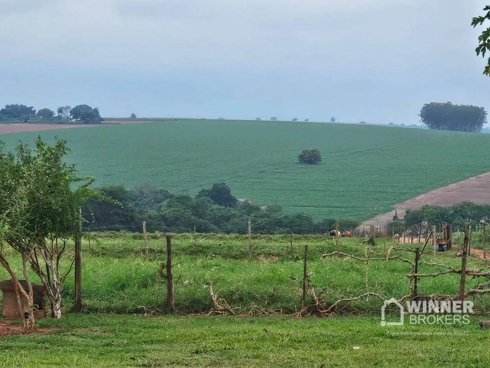 Sítio, 3 quartos, 5 hectares - Foto 8